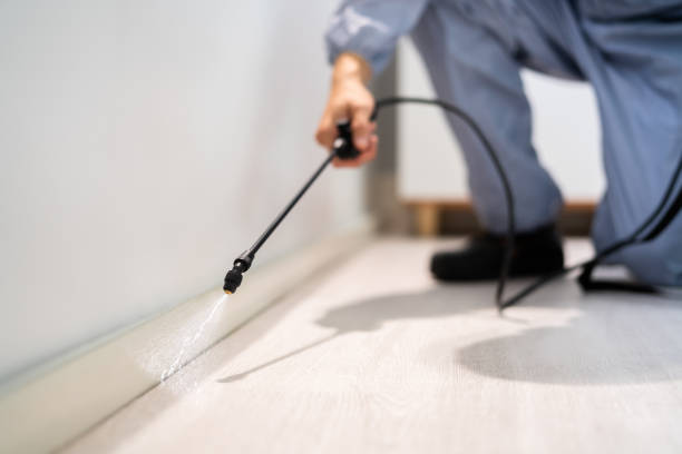 Licensed Bed Bug Control service in Spencer, WV - Nex Pest Control