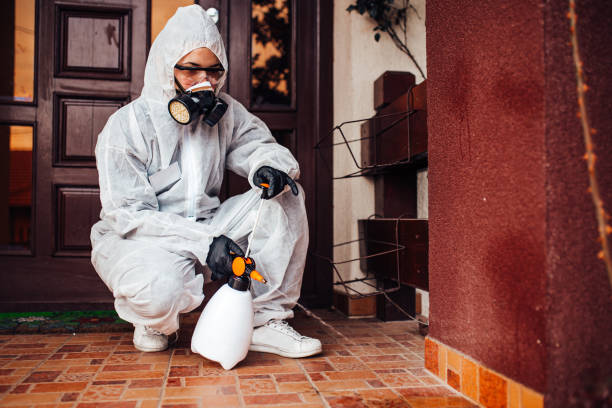 Reliable Bed Bug Control contractor in Spencer, WV by Nex Pest Control
