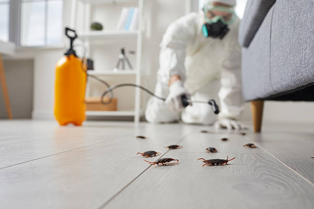 Trusted Rodent Control service in Spencer, WV - Nex Pest Control